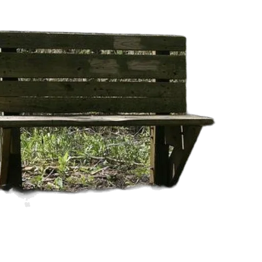 furniture, umbrella, car, shoes, 3d render, photorealistic, rain, forest transparent PNG cut-out