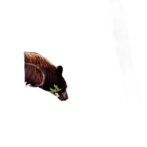 animal, creature, hair, staff, concept art, pixel art, photorealistic, black transparent PNG cut-out