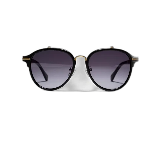 3d render, cartoon, photorealistic, pair, sunglasses, black, frame, gold transparent PNG cut-out