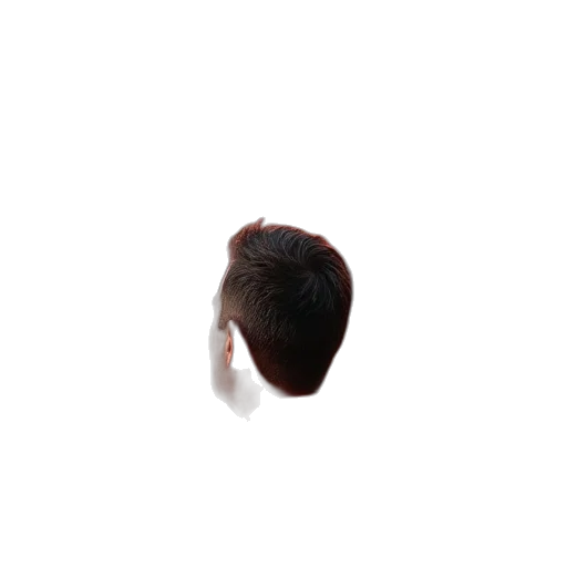 hair, face, hat, mask, 3d render, photorealistic, pixel art, concept art transparent PNG cut-out