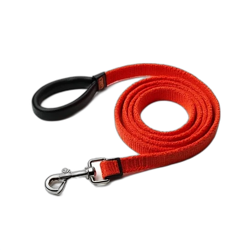 staff, jewelry, red, orange, leash, black, handle, silver transparent PNG cut-out