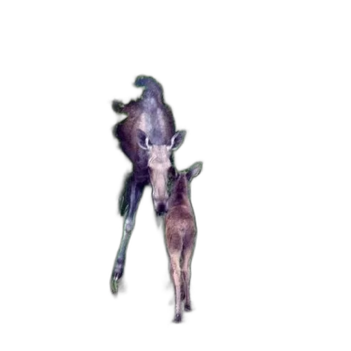 creature, animal, staff, robot, 3d render, concept art, watercolor, pixel art transparent PNG cut-out