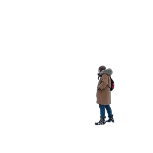 jacket, hat, staff, robot transparent PNG cut-out