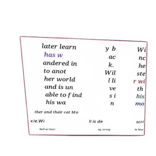 forest, poster, text, about, character, named, will, who transparent PNG cut-out