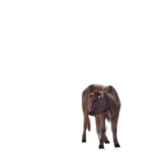 animal, creature, face, staff, 3d render, photorealistic, pixel art, concept art transparent PNG cut-out