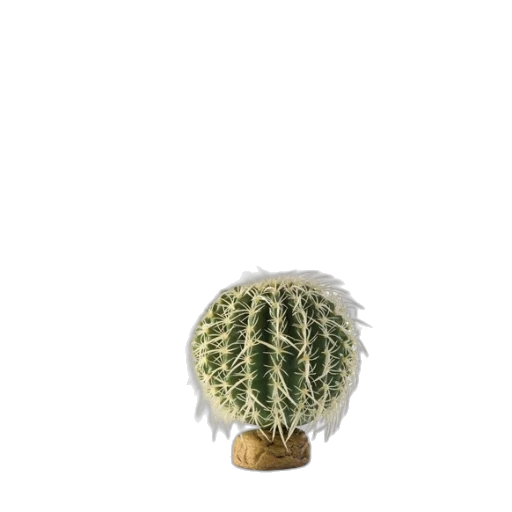 hat, crown, hair, bottle, 3d render, photorealistic, concept art, earth tones transparent PNG cut-out