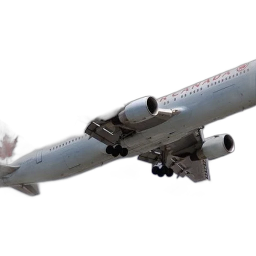 animal, 3d render, photorealistic, air, canada, airplane, flying, through transparent PNG cut-out