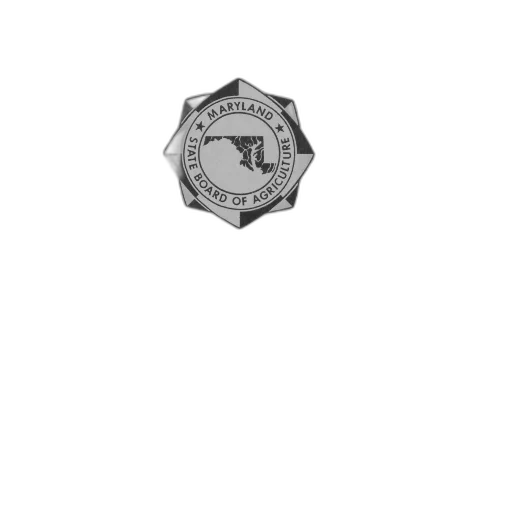 staff, jewelry, crown, weapon, 3d render, pencil sketch, image, cover transparent PNG cut-out