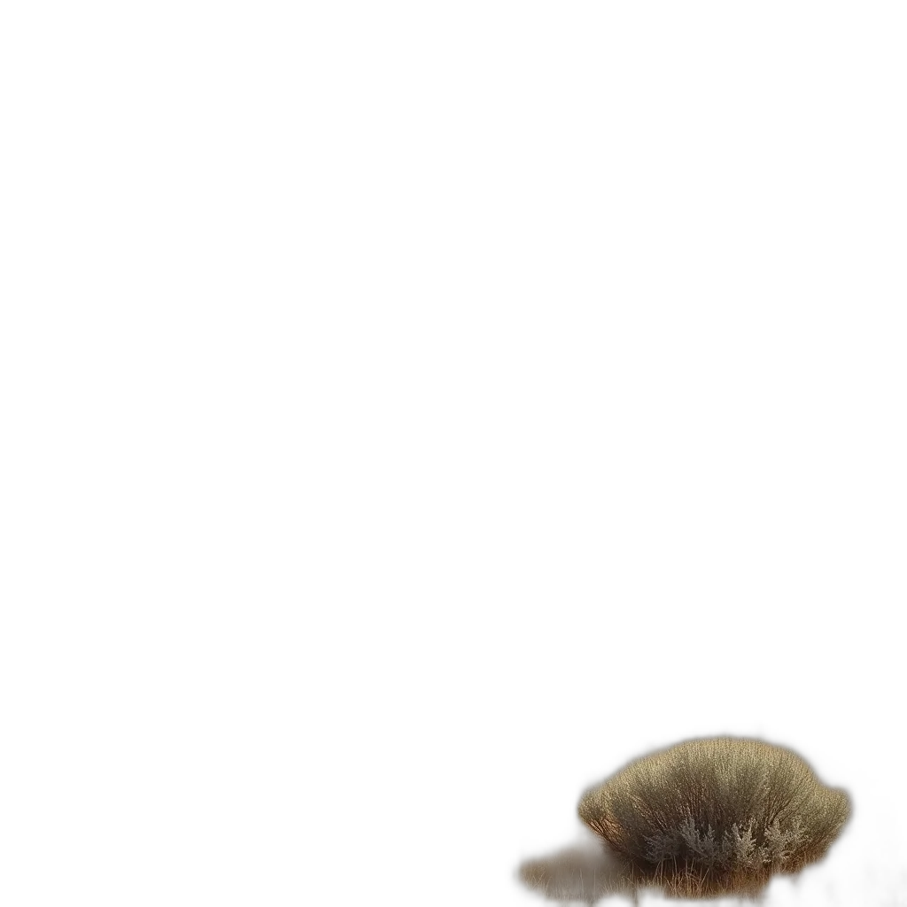 animal, creature, hair, hat, 3d render, photorealistic, concept art, underwater transparent PNG cut-out