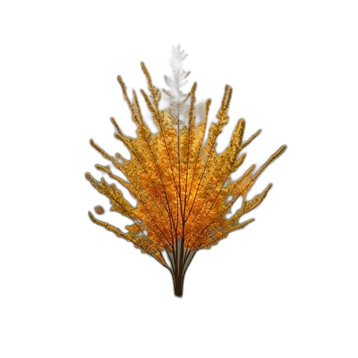 tree, crown, hair, flower transparent PNG cut-out