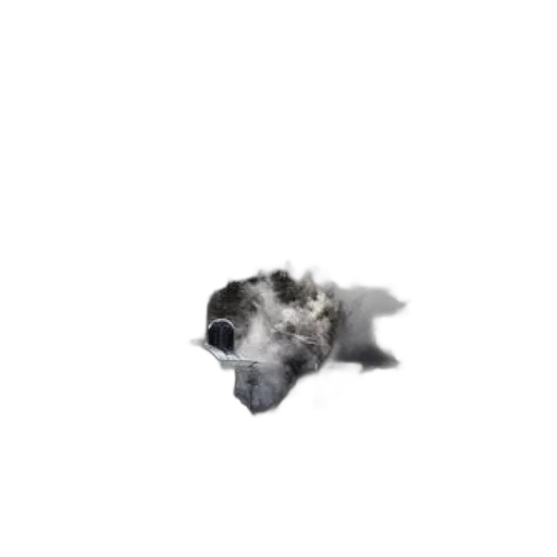 animal, creature, hair, dragon, 3d render, photorealistic, pixel art, concept art transparent PNG cut-out