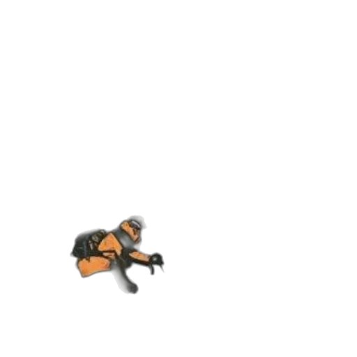 animal, robot, shoes, creature transparent PNG cut-out