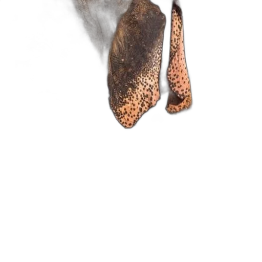 shoes, mask, staff, hair, photorealistic, 3d render, concept art, watercolor transparent PNG cut-out