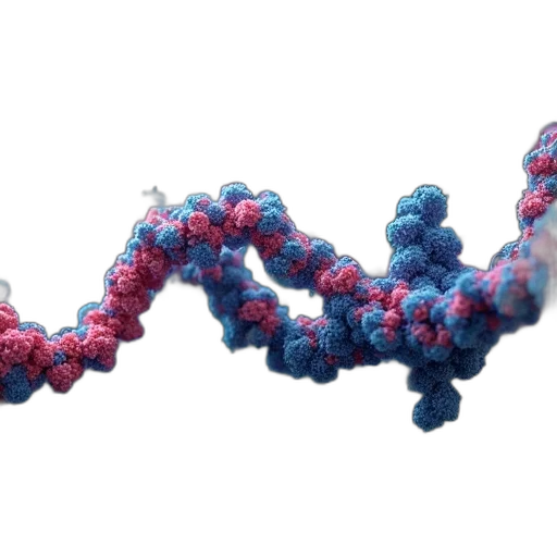 protein, sequences, system, explain, interactions transparent PNG cut-out
