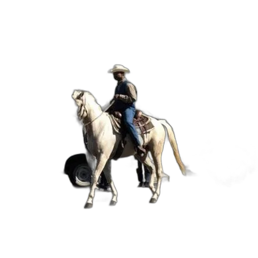 staff, animal, hat, jacket, concept art, photorealistic, pixel art, 3d render transparent PNG cut-out