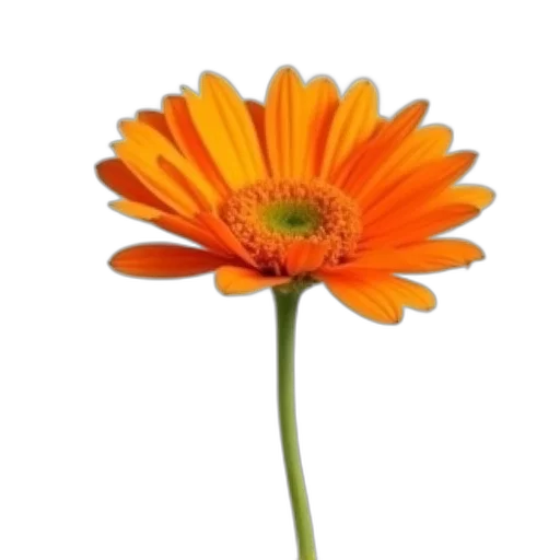 flower, staff, crown, weapon, photorealistic, 3d render, oil painting, colorful transparent PNG cut-out