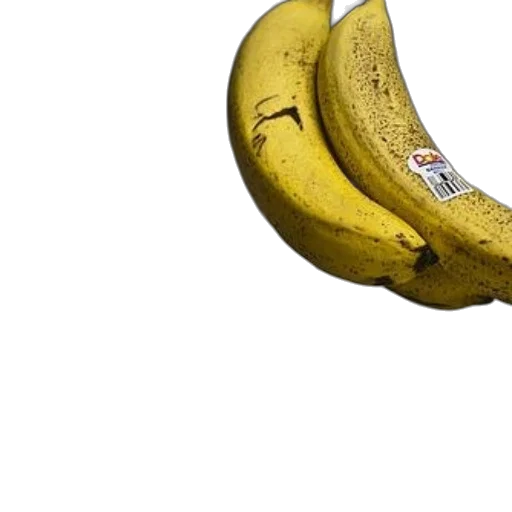 food, weapon, shoes, animal, photorealistic, 3d render, concept art, still transparent PNG cut-out