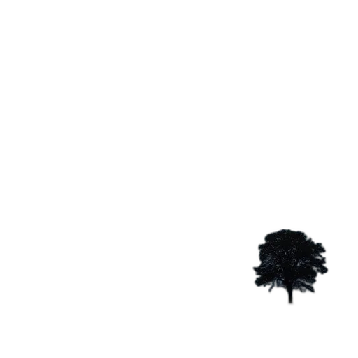 tree, crown, hair, hat transparent PNG cut-out