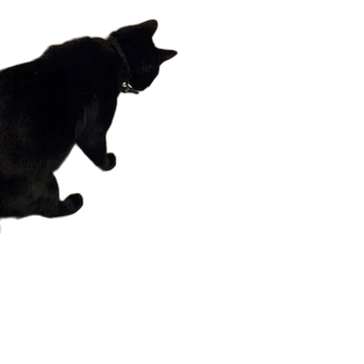 animal, creature, staff, dragon transparent PNG cut-out