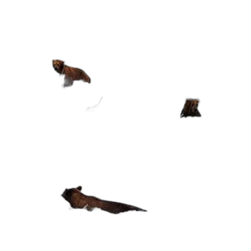 animal, shoes, hat, crown, pixel art, 3d render, concept art, forest transparent PNG cut-out