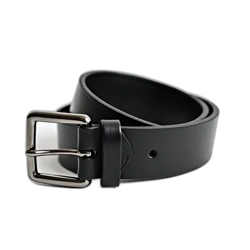 jewelry, black, leather, belt, silver, buckles, laid, out transparent PNG cut-out