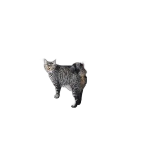 animal, creature, staff, robot, 3d render, pixel art, photorealistic, concept art transparent PNG cut-out