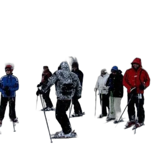 staff, concept art, 3d render, photorealistic, snow, group, skiers, gather transparent PNG cut-out