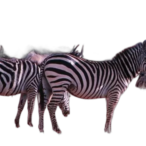 animal, creature, staff, weapon, 3d render, concept art, photorealistic, fantasy art transparent PNG cut-out