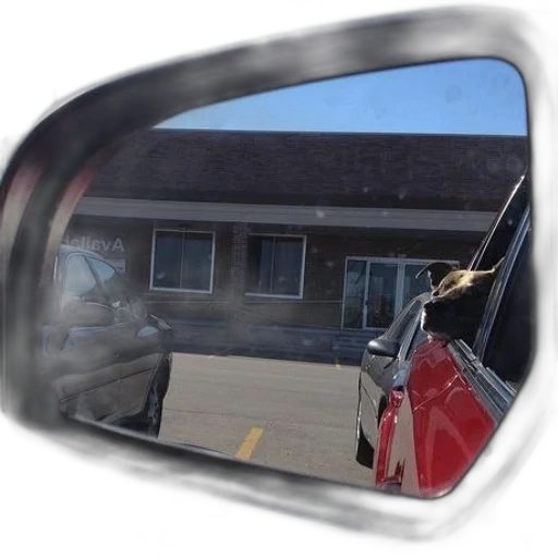 car, face, mask, robot, dog, looking, out, window transparent PNG cut-out