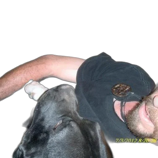 animal, creature, staff, face, photorealistic, man, his, dog transparent PNG cut-out