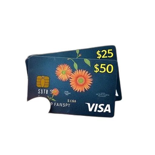 visa, gift, card, display transparent PNG cut-out