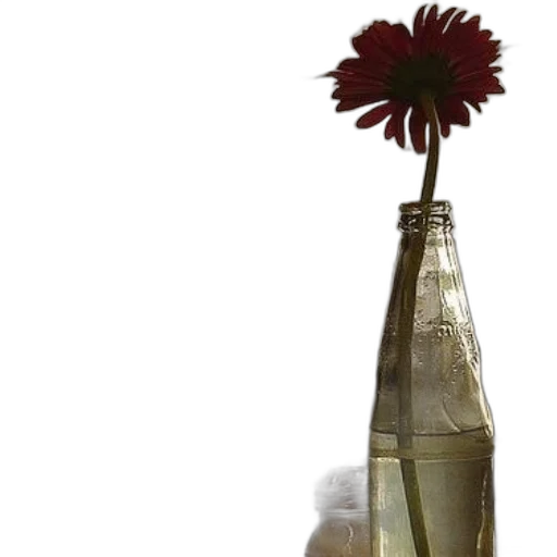 bottle, flower, weapon, umbrella transparent PNG cut-out