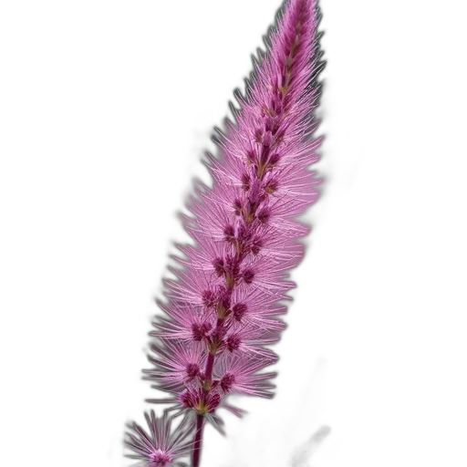 flower, staff, crown, hair, 3d render, photorealistic, concept art, fantasy art transparent PNG cut-out