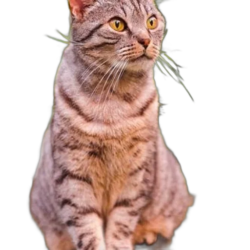 animal, staff, creature, crown, photorealistic, 3d render, concept art, pixel art transparent PNG cut-out