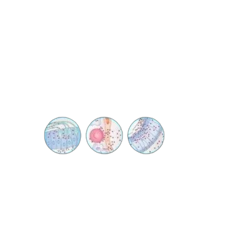 jewelry, jacket, food, watercolor, pixel art, vaporwave, 3d render, outer space transparent PNG cut-out