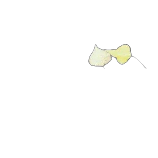 weapon, flower, umbrella, mask, photorealistic, 3d render, concept art, pixel art transparent PNG cut-out