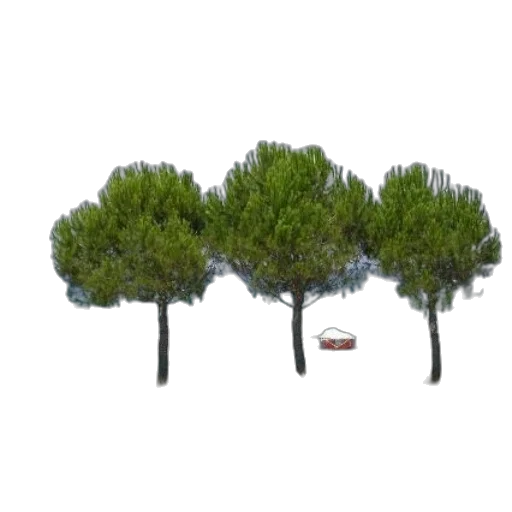 tree, car, crown, furniture, 3d render, pixel art, concept art, photorealistic transparent PNG cut-out