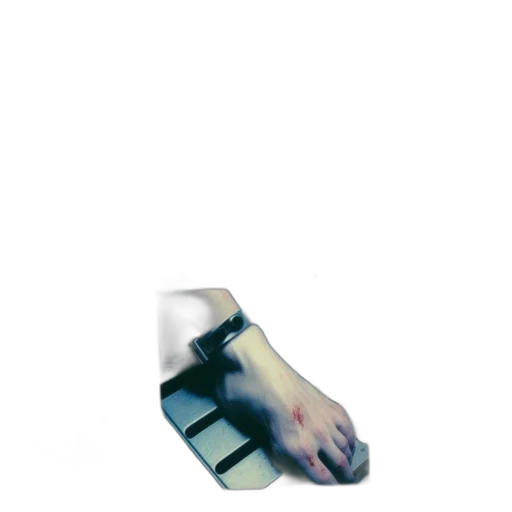 shoes, robot, jewelry, animal, vaporwave, 3d render, photorealistic, concept art transparent PNG cut-out