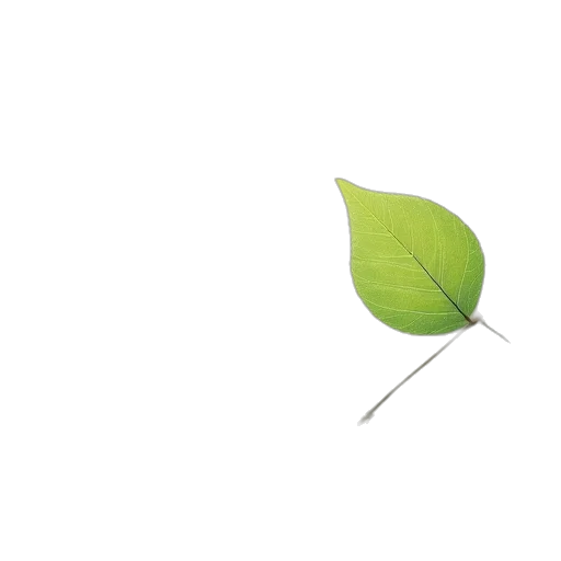 tree, flower, umbrella, staff transparent PNG cut-out