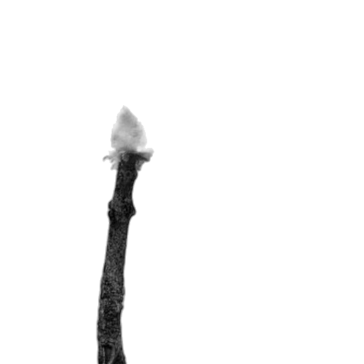 staff, sword, weapon, tree, pencil sketch, photorealistic, 3d render, concept art transparent PNG cut-out