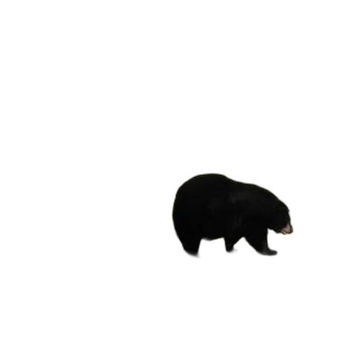 animal, creature, hat, food, pixel art, concept art, 3d render, black transparent PNG cut-out