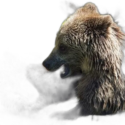 animal, creature, photorealistic, concept art, 3d render, fantasy art, two, grizzly transparent PNG cut-out