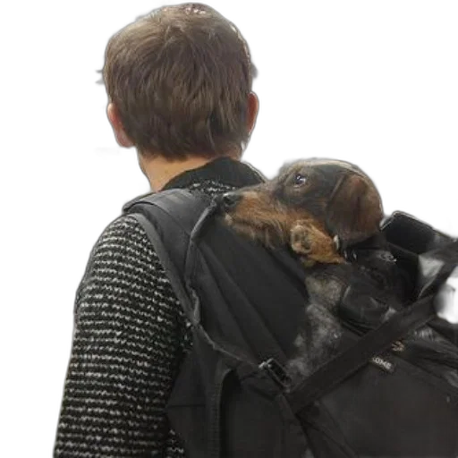 jacket, outer space, person, wearing, black, white, sweater, carries transparent PNG cut-out