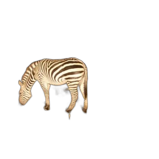 animal, creature, furniture, jewelry, 3d render, concept art, photorealistic, pixel art transparent PNG cut-out