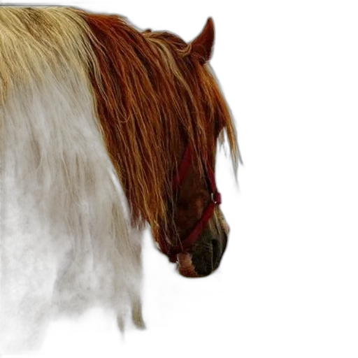 hair, animal, creature, hat, photorealistic, 3d render, fantasy art, concept art transparent PNG cut-out