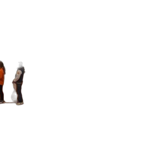 shoes, animal, staff, hair, pixel art, 3d render, concept art, photorealistic transparent PNG cut-out