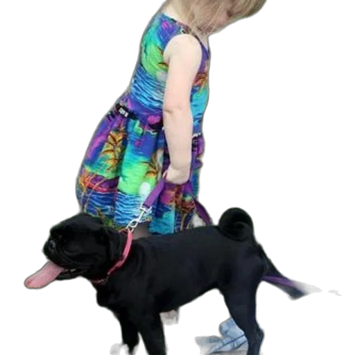 dress, animal, photorealistic, 3d render, child, colorful, holds, leash transparent PNG cut-out