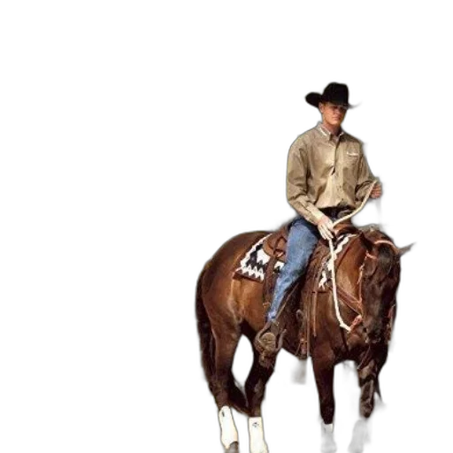 jacket, animal, hat, staff, photorealistic, concept art, 3d render, oil painting transparent PNG cut-out