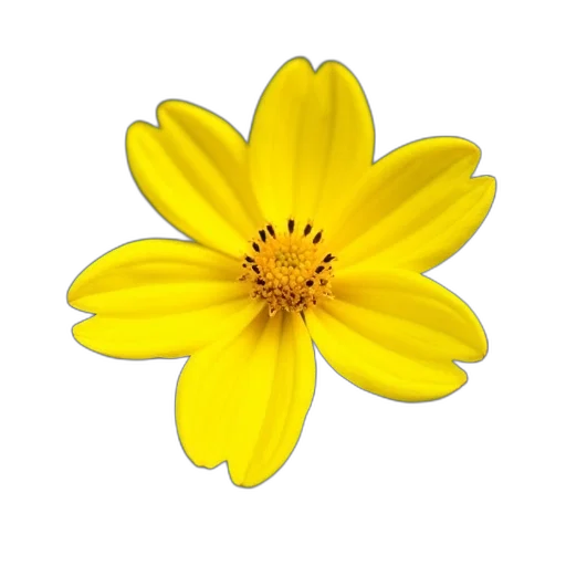 flower, crown, jewelry, staff, photorealistic, 3d render, oil painting, golden transparent PNG cut-out