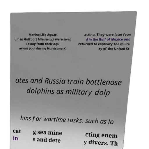 weapon, vaporwave, poster, text, about, bottlenose, dolphins, being transparent PNG cut-out